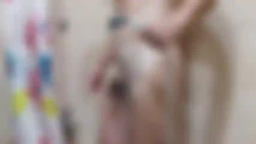 Une douche rapide pour laver la charge.