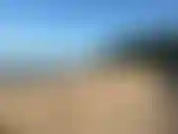 Marchant sur la plage, puis prenant un bain.