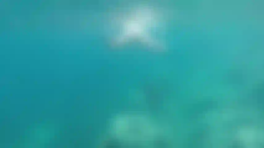 Nageant nu en évitant les piqûres. :)).