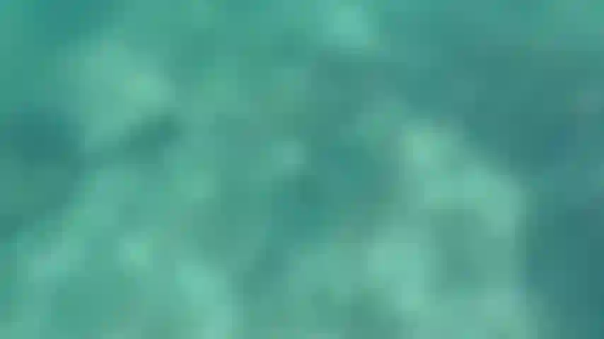 Je fais du snorkeling nu avec mes palmes.