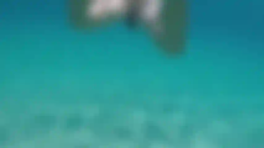 Nageant nu dans une eau claire.