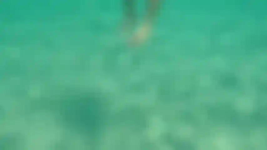 Tu veux nager et faire de la plongée nus ensemble ?