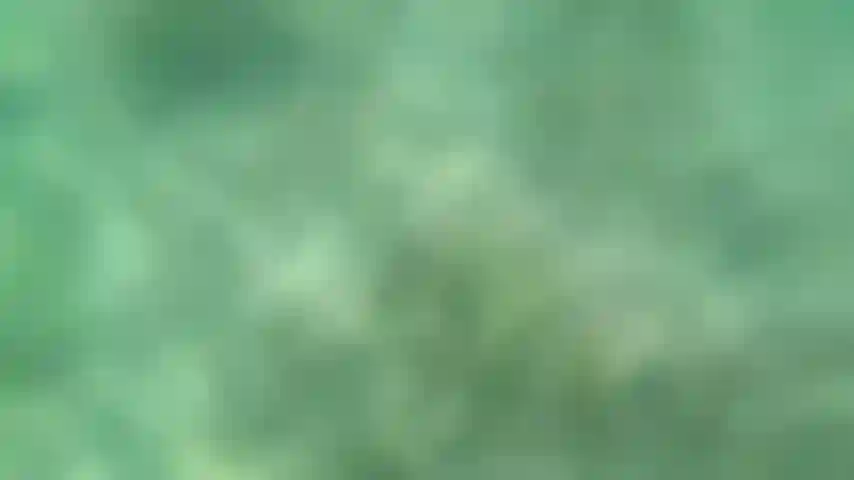 Je me détends et je nage nu avec mes palmes.