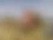 Me déshabiller et me détendre sur des rochers.