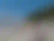 Je m'amuse dans un speedo brésilien à côté d'un grand arbre. View est incroyable.