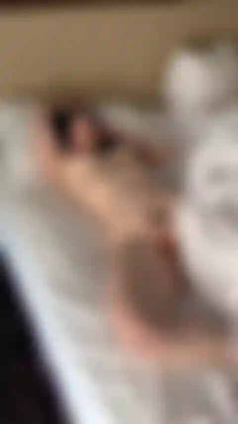 Jouis tôt le matin.