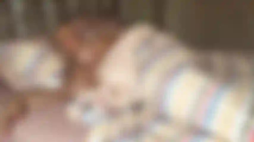 Réveille-toi avec moi.