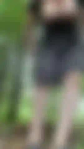 Quick flash in a forest