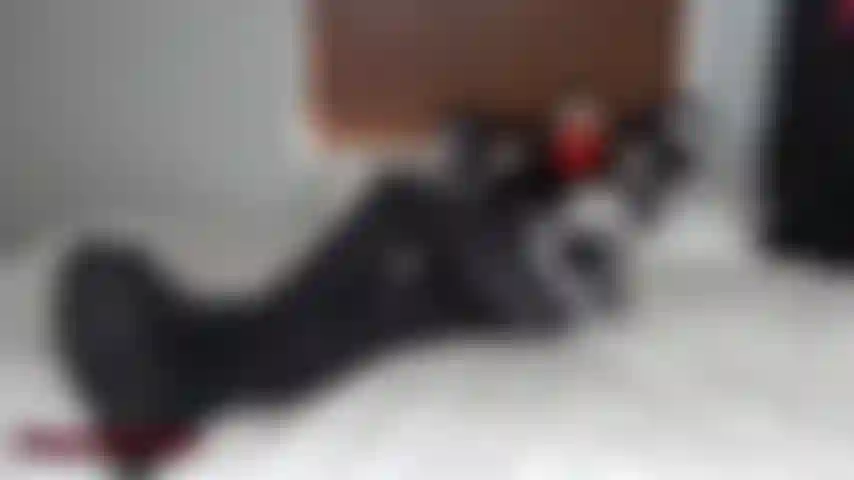 Remorque culte sneaker.