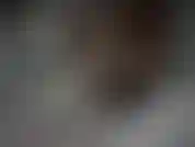 Bande-annonce de collants.