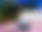 La chatte en plein air me baise dehors en me masturbant et en utilisant un jouet!