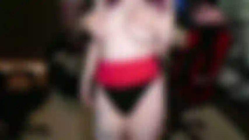 Le fan choisit comment je me fais baiser.