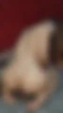 my ass and my toy are waiting for you