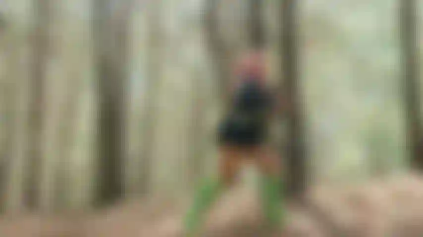 Forêt avec mitsury.