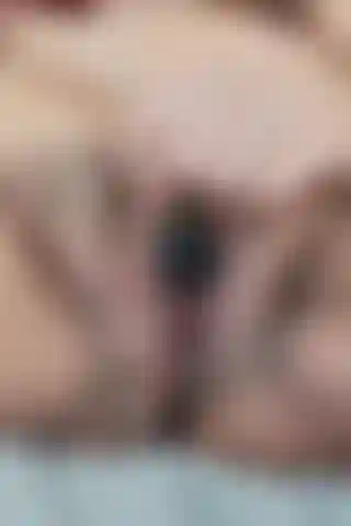 Je pensais que jouir une fois après m'être étiré la chatte avec dexter était suffisant mais ce n'était pas le cas ! Je zoome de près et j'utilise mon mini vibromasseur et je me fais jouir à nouveau et c'était tellement bon, je suis venu si fort pour la 2ème fois ! 35 Enceinte de plusieurs semaines !