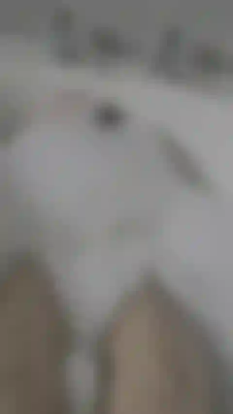 Les pieds dans le bain.