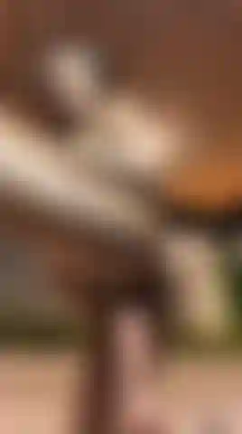 My pussy is very eager