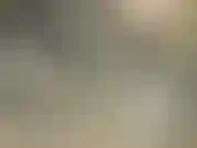 Regarde juste ça... Regarde juste.