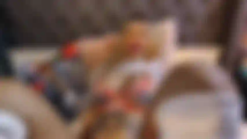 Avant de manger il y a l'apéritif.