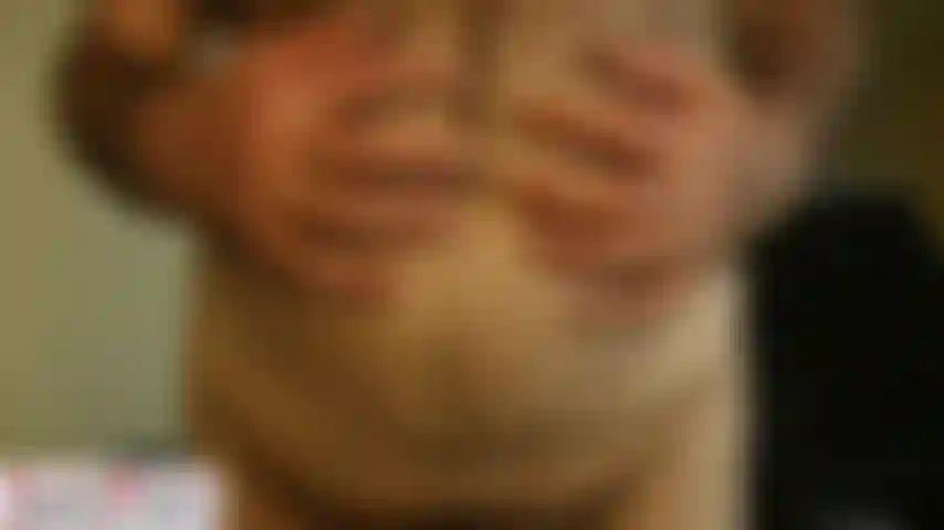 Coach karl ventre doux et poilu [1337].