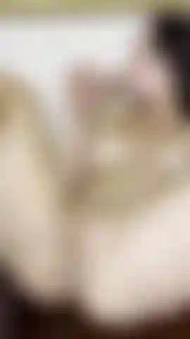 Je me touche et me baise jusqu'à ce que je sois trempée.