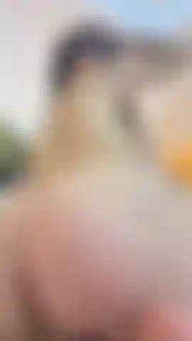 Let me sit on your face