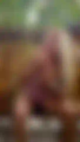 Je suce ta bite dure.