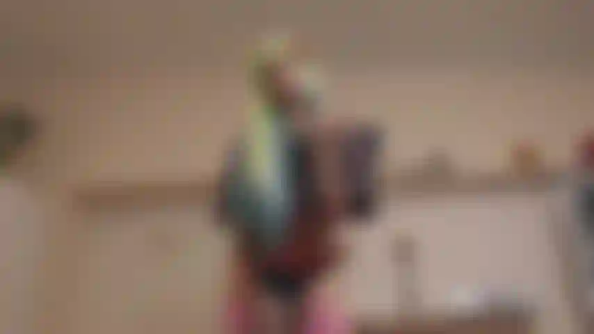 Les chiennes sissy en ont vraiment besoin.