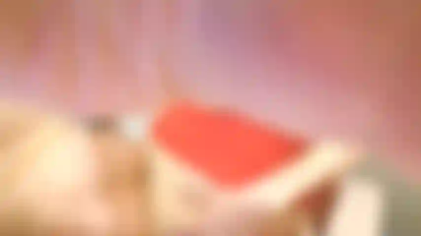 Silly_chat et chatte closeup_2025.