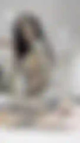 Je twerk : je fessais.