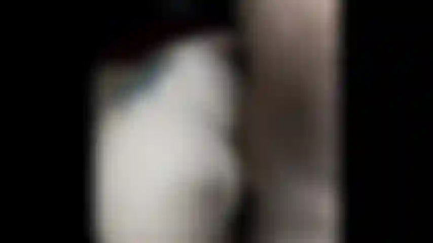 Levrette anale, à cheval, levée.