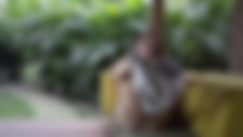 J'écarte les jambes pour que tu voies toutes les bonnes choses.