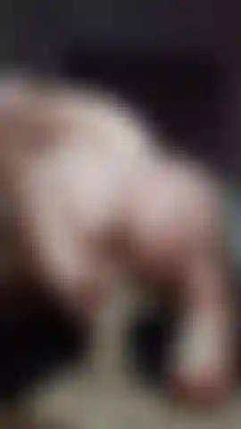 Chevauche un gode de cowgirl inversée à gros cul.