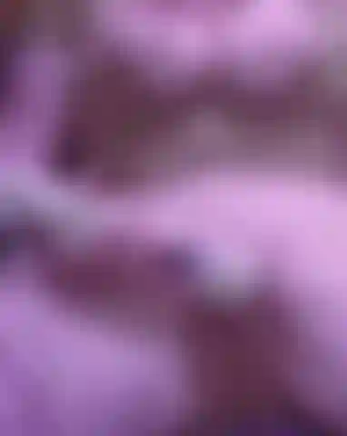 First squirting video