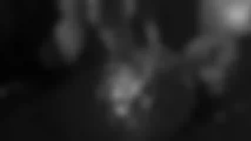 The Devilish Woman Awakes