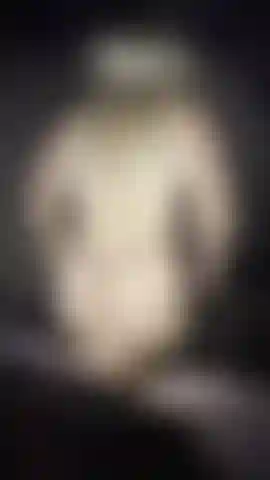 sitting on his face w thong on no cumshow