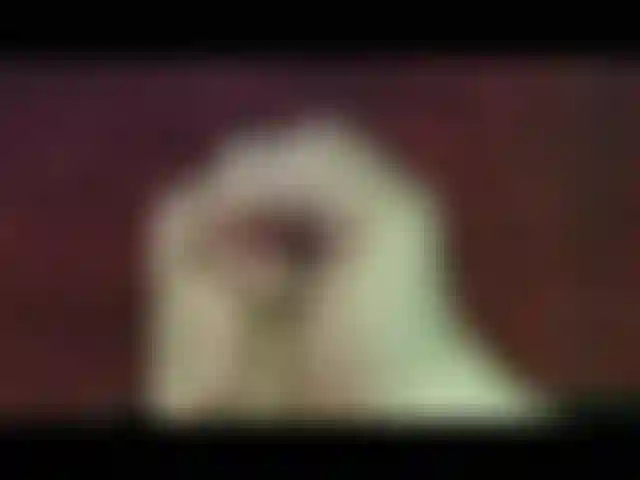 Regarde cette bite exploser !