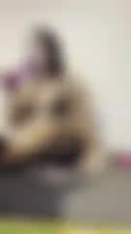 Mon trou du cul était trop petit pour ça !