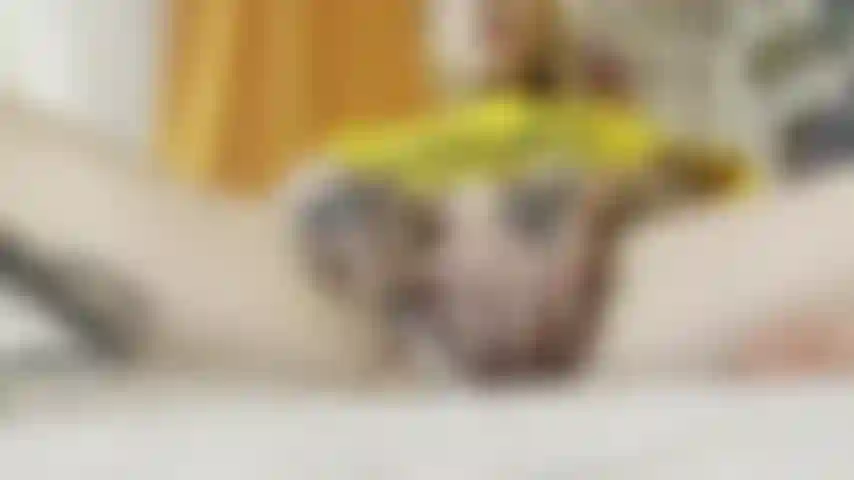 Je me doigte dans mon t-shirt dewalt.