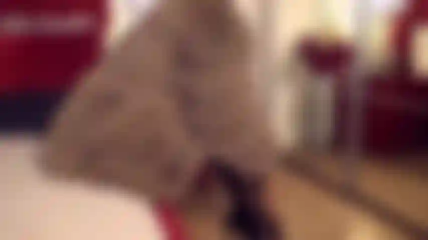 Je passe un moment intense en portant mon manteau de fourrure.