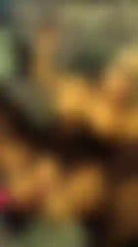 Bonne à se branler 2 vol 3. Je me fais bien baiser et durement par un bwc avec une vue imprenable sur ma chatte.