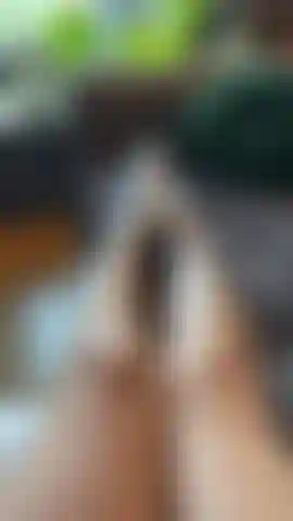 Je taquine mes pieds dans mes chaussettes de sport blanches en les enlevant lentement.