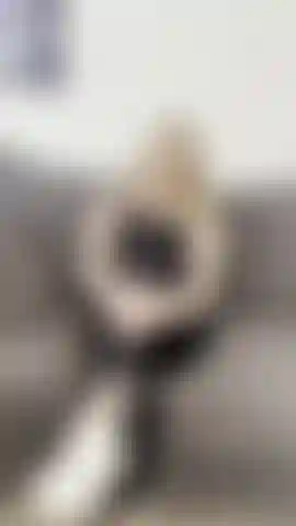 J'adore les pieds sales et en sueur de la salle de sport.