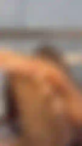SEXY OILED FEET MAKES YOU CUM