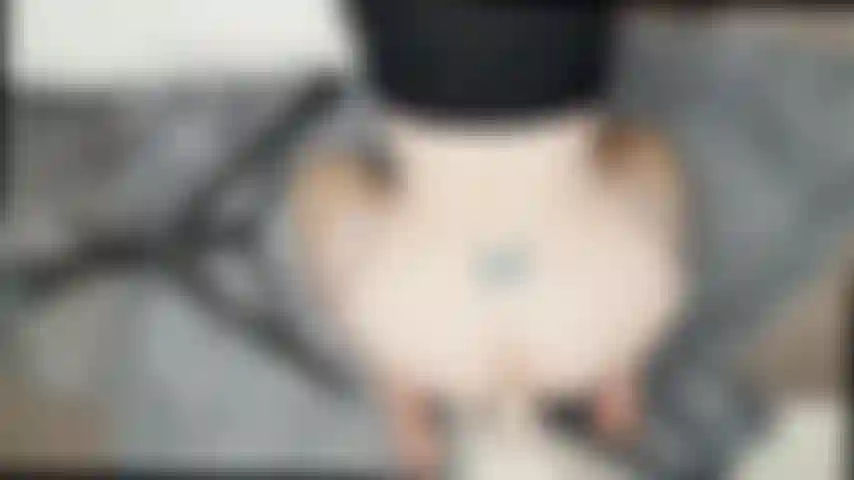 Doggie d'en haut / gode mural.