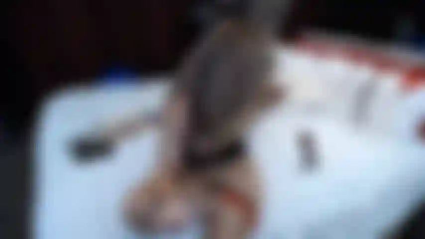 Jouant avec la chatte.