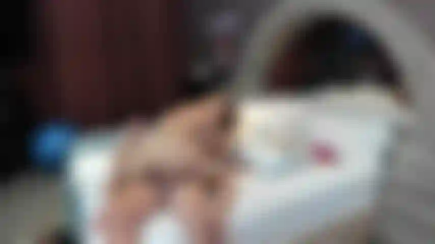 Du sexe hard au top avec bo blake !