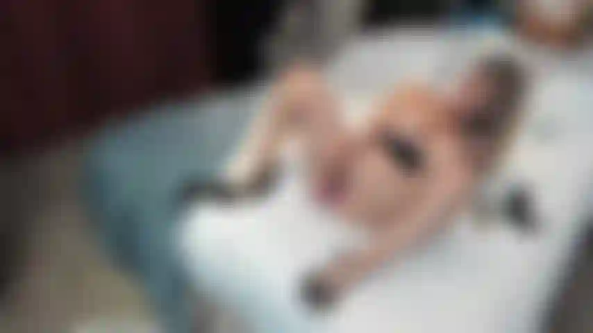 Double pénétration avec 2 jouets en solo.