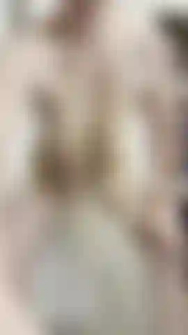 Shiny Sparkly Shaking