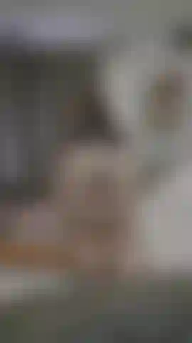 Tu veux regarder ça rebondir sur ton visage ?